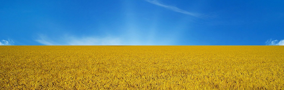 Украина